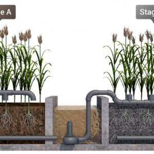 Reed Bed Contracting 3d Process