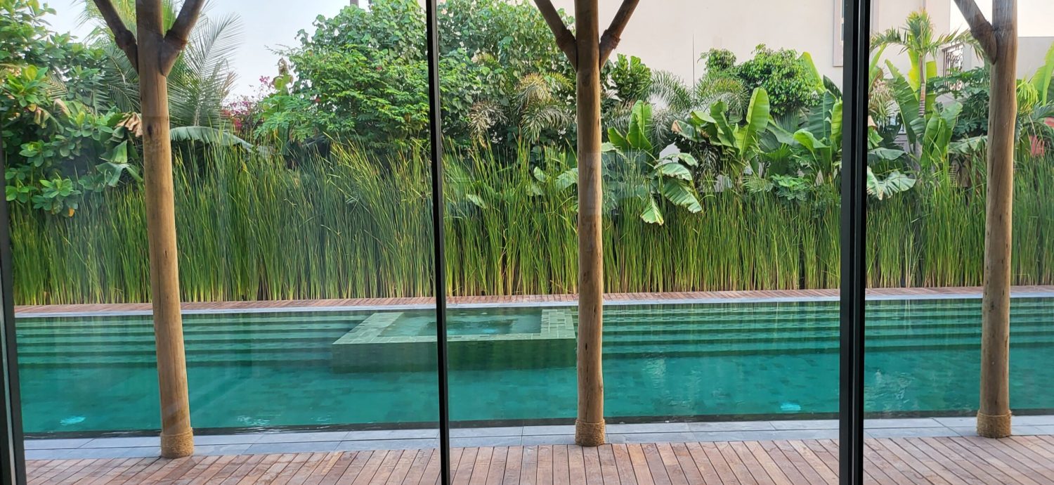 Reed Bed constructed wetland UAE swimming pool chlorine free