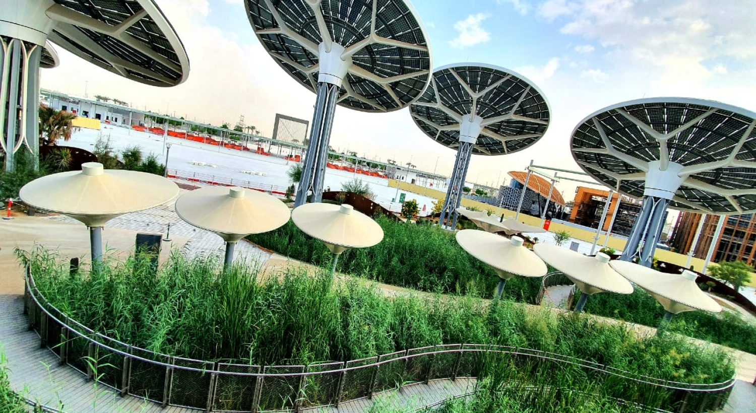 WhatsApp Image 2025-03-15 at 22.59.58_8dbddb18