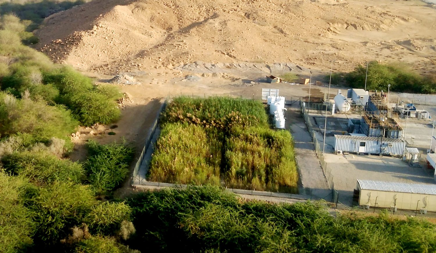 reed bed constructed wetland STP WWTP Oman Muscat