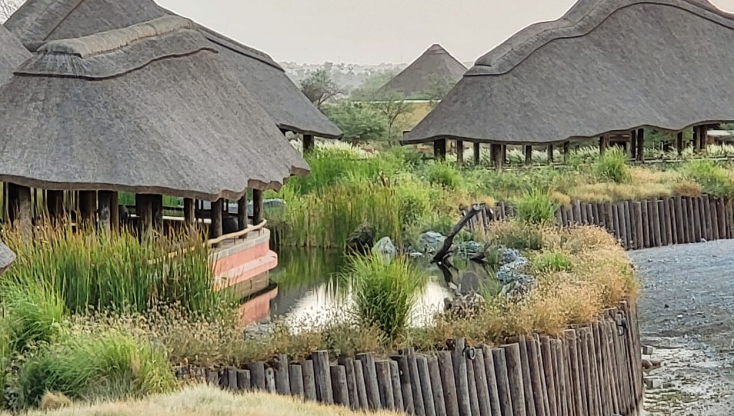 waste water treatment reed bed constructed wetland tse lakes UAE